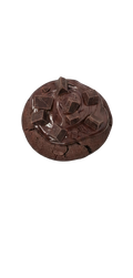 Chocolate fudge cookie